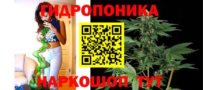 ALPHA PVP Ярославль